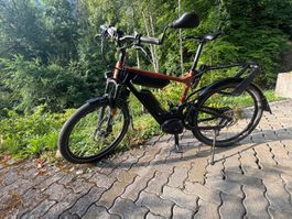 Riese&Müller Delite Touring HS DualBatt. 2×500Wh – Unfallrad