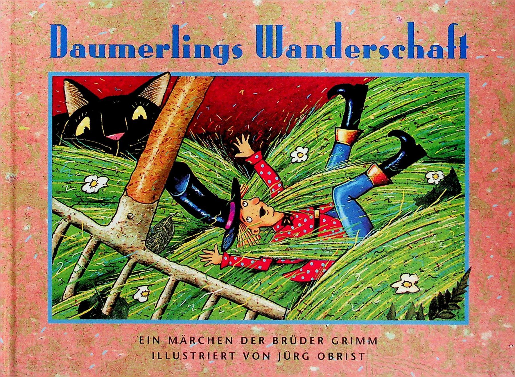 Libri: Brüder Grimm: Daumerlings Wanderschaft Jürg Obrist – Usato da Reitnau venduto da Zaomir