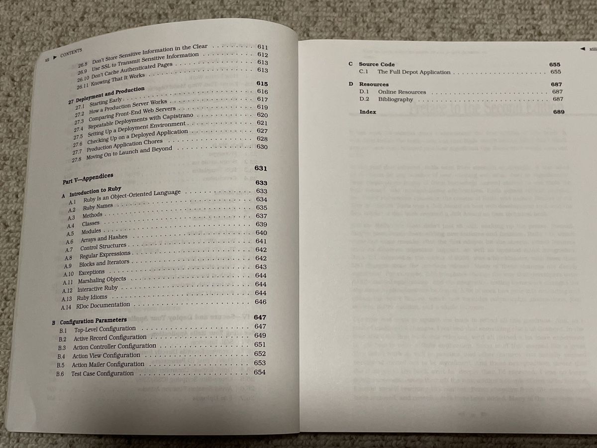 Libri: Agile Web Development with Rails, 2nd Edition, Top Zustand – Usato da Ehrendingen venduto da renue 4