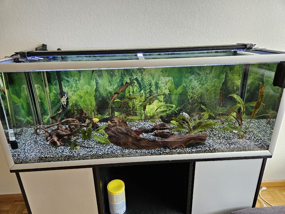Aquarium 300 L Mit Unterschrank