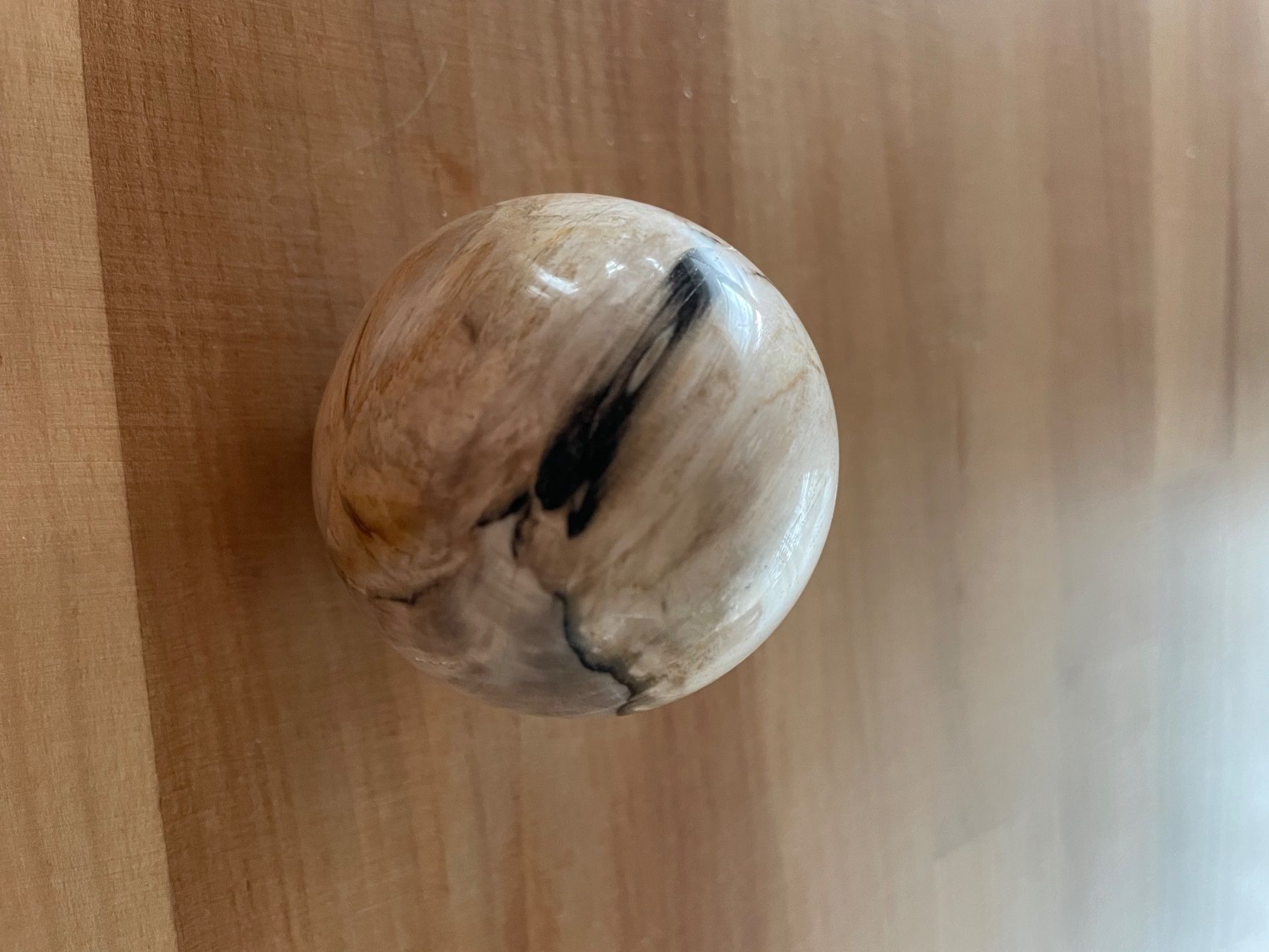 Fossiles: Versteinertes Holz Kugel – D'occasion à Rümlang par Sambas19