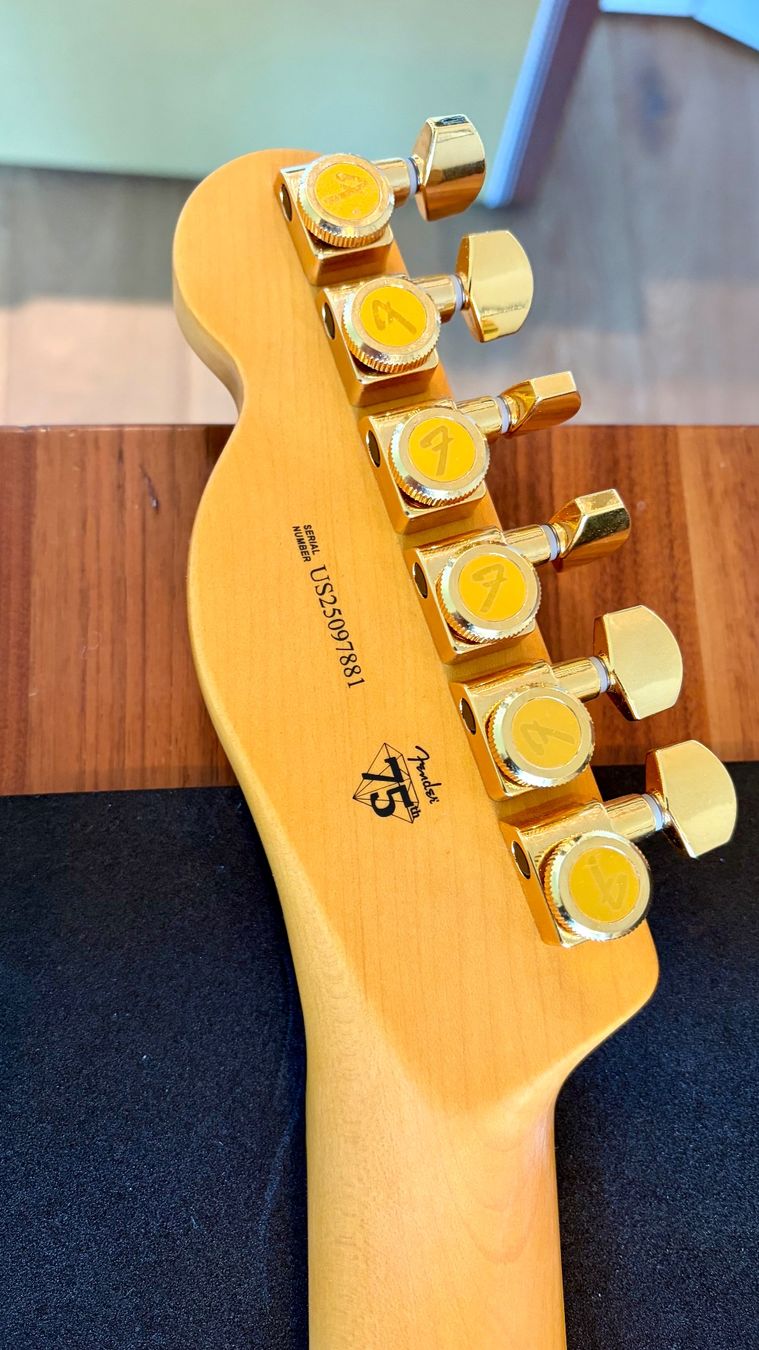Fender Strumenti musicali: Fender 75th Anniversary American Pro II Custom Telecaster – Usato da Winterberg ZH venduto da Fateric 4