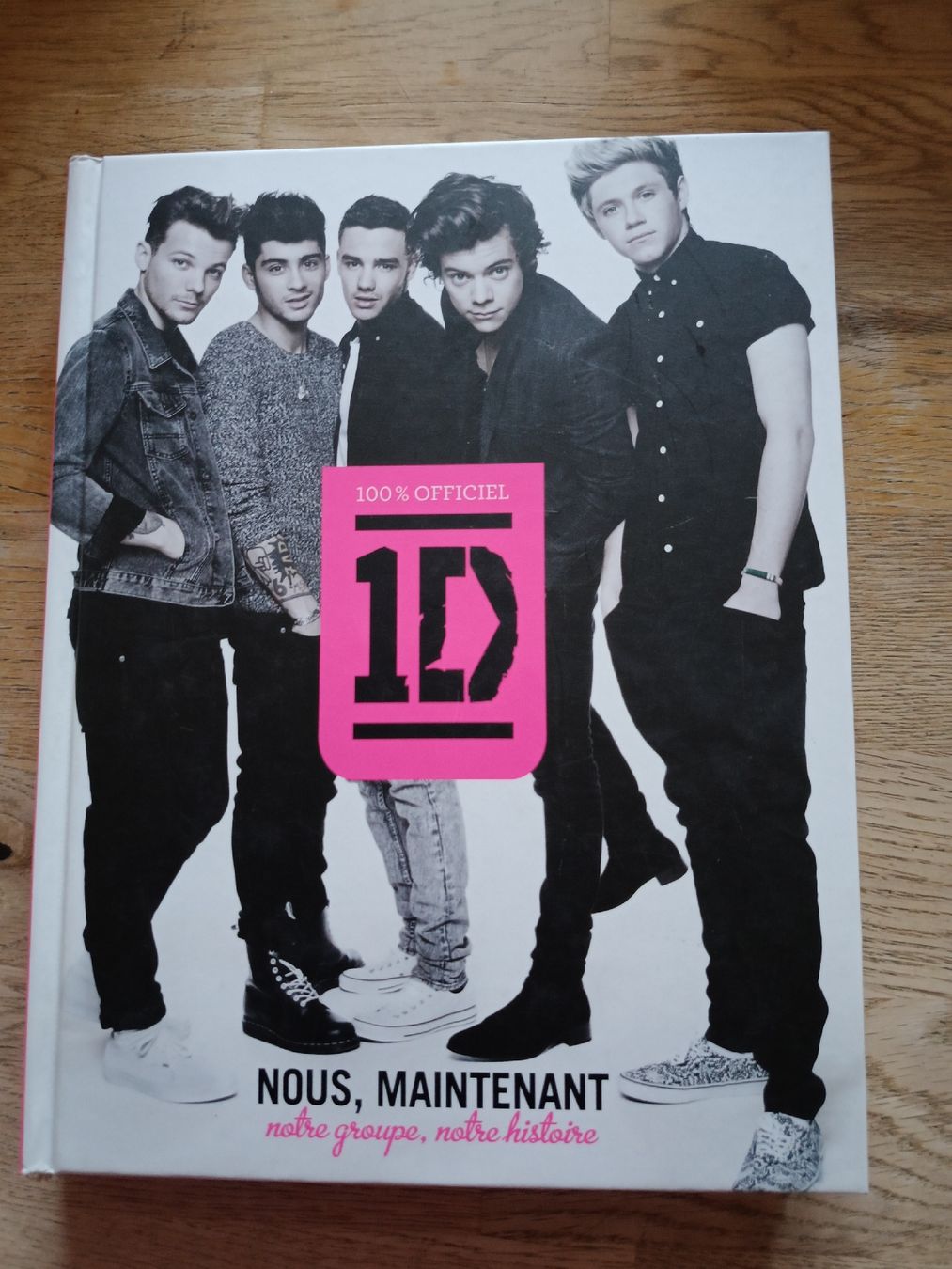 Libri: Livre One Direction 1D - Nous, Maintenant – Usato da Bex venduto da Canouille
