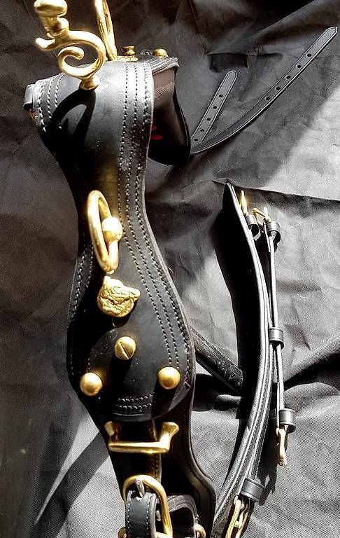Attrezzatura da arrampicata: Harnais  exclusive pour cheval taille  Cob – Usato da Hinterforst venduto da Elfrasty 2