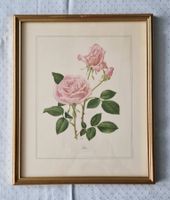 3/3 Stich gerahmt: 3 hellrosa Rosen „Sissi“ A.M. Trechslin