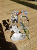 Swarovski Wellensittiche