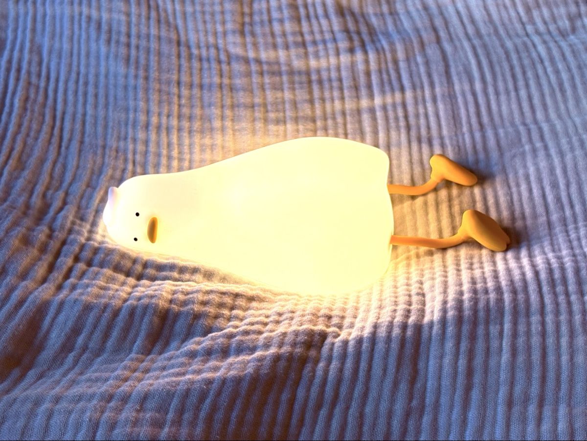 Lampade: Nightlight Laying Duck  – Usato da Jona venduto da froggitto 6