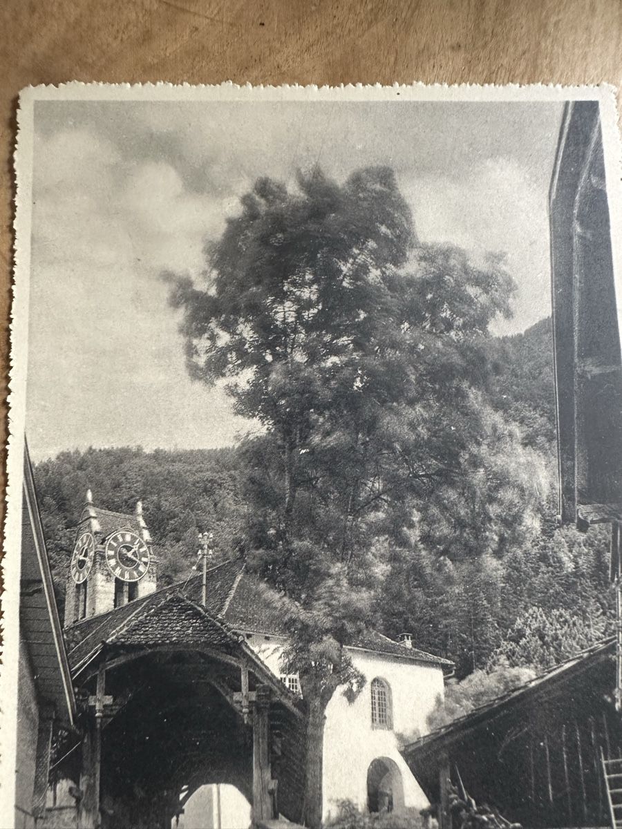 Cartoline postali: AK Wilderswil - Gsteig – Usato da Frauenfeld venduto da aluma14