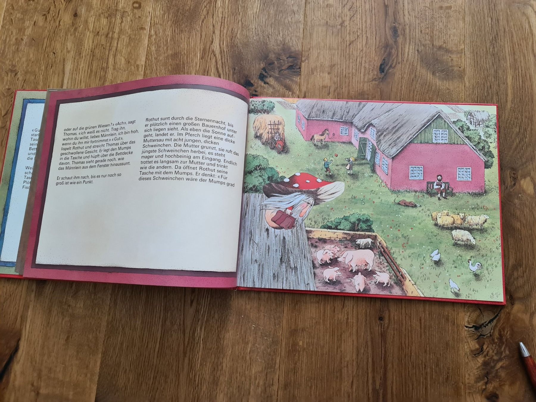 Libri: Der kleine rothut bilderbuch – Usato da Wittenbach venduto da Tigerlili 6
