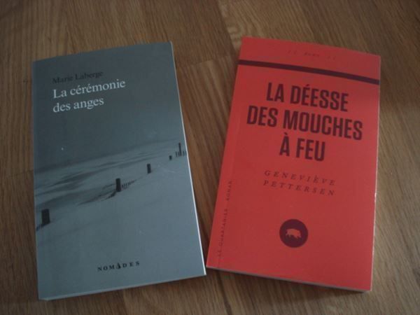 Libri: 2 livres Québécois – Nuovo (secondo la descrizione) da Porrentruy venduto da Piquetix