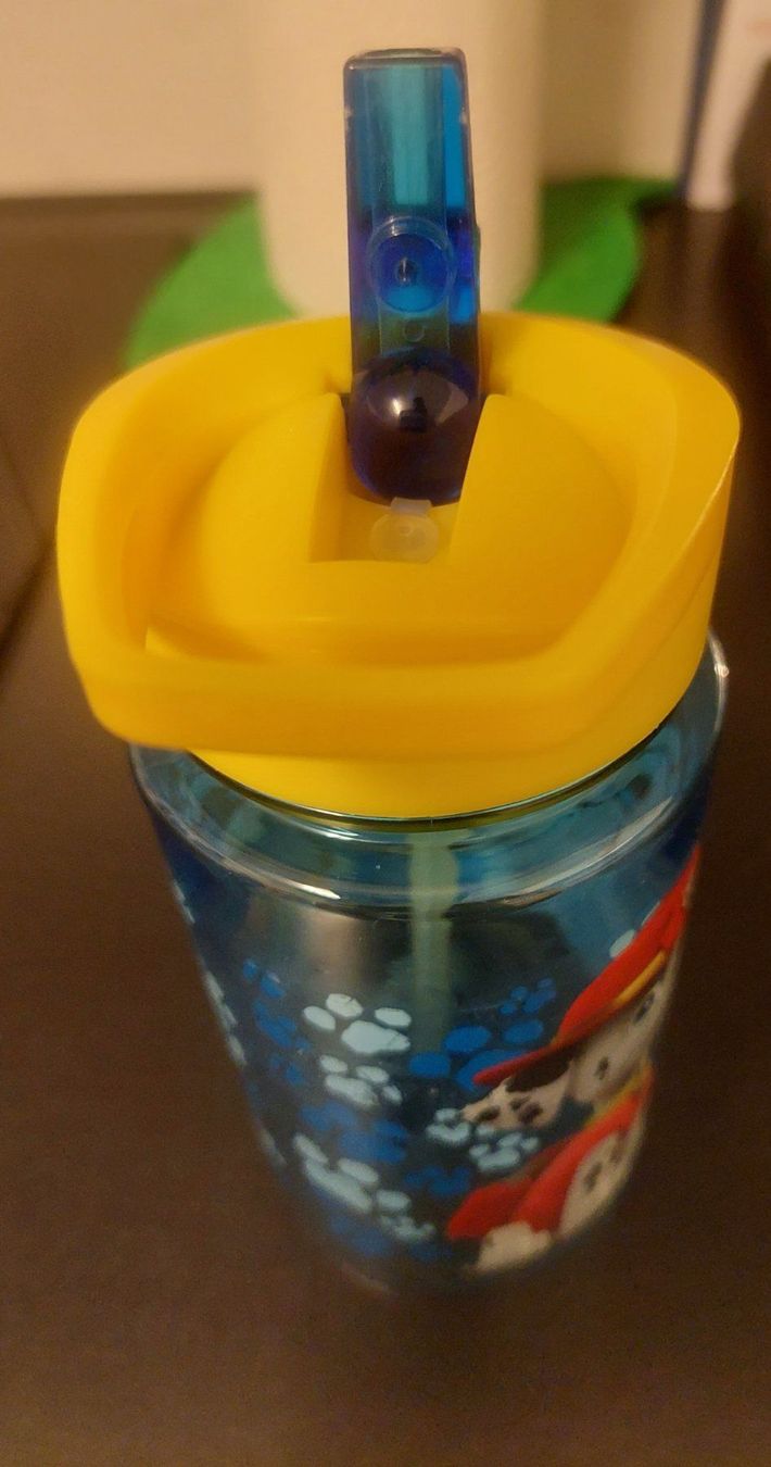 Trinkflaschen & Thermosflaschen: Paw patrol Trinkflasche mit intregiertem Strohalm – Gebraucht aus Unterbäch VS von Nifadi 2