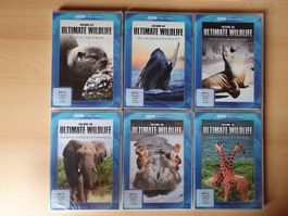 6 DVDs Ultimate Wildlife - Tiere