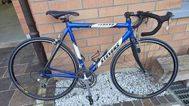 Rennvelo, Velo Carbon