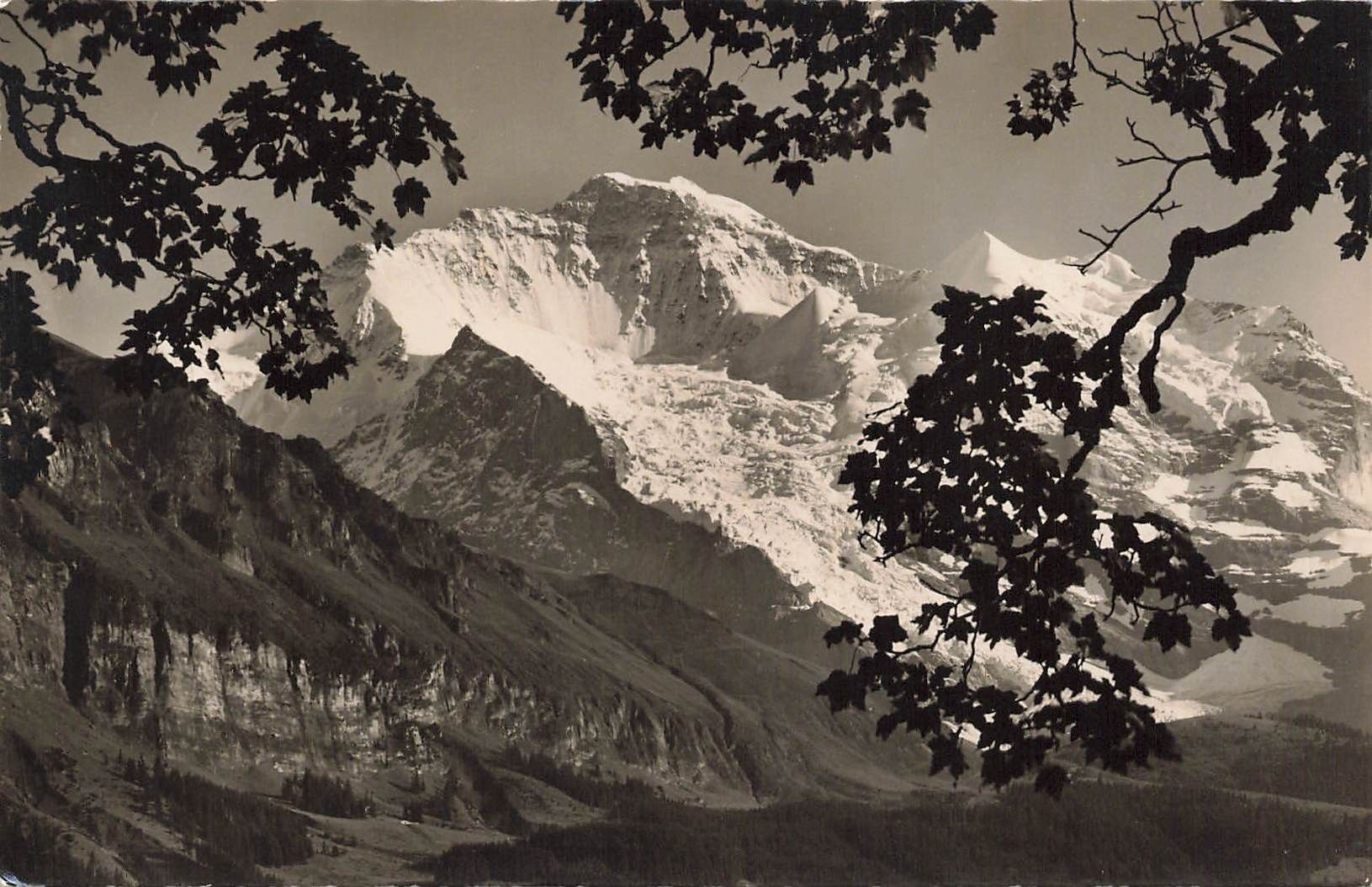 Ansichtskarten: Wengen BE Jungfrau – Gebraucht aus Biasca von Blenio71
