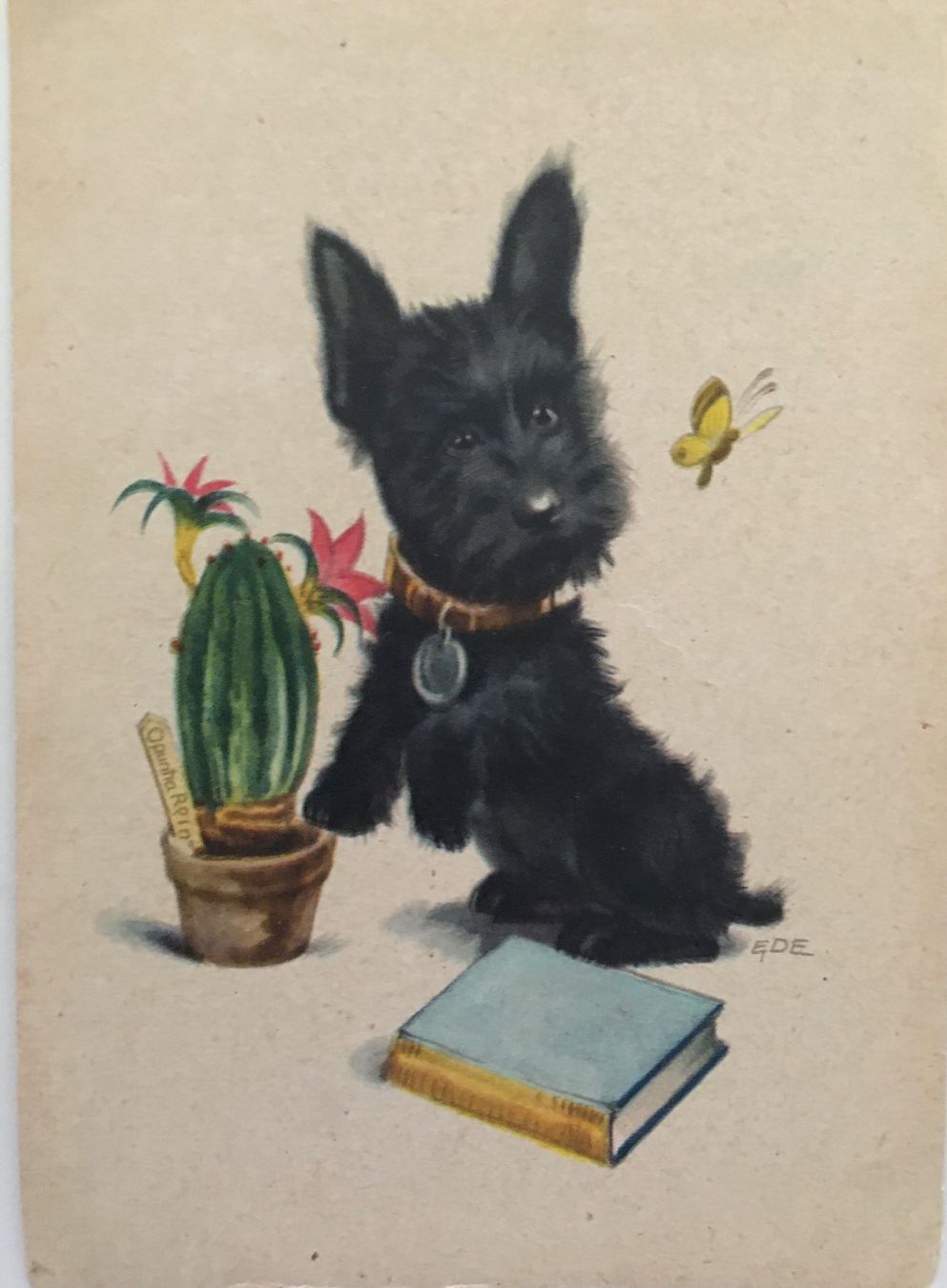 Hund, Kaktus, Buch (Gebraucht) in Frauenfeld fr CHF 3.8  mit Lieferung  auf Ricardo kaufen