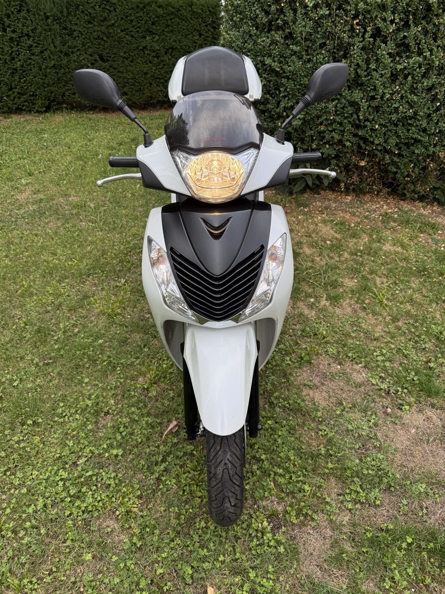Honda Scooters: HONDA SH 125 CC – Defekt aus Winterthur von Fabio_46