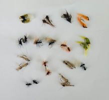 28 Stück verschidne Fliege und Nymphen