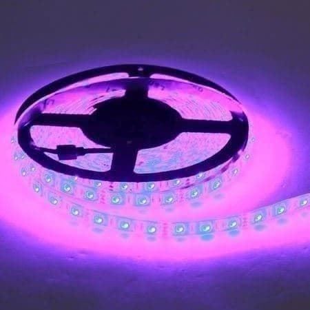 Ghirlande e barre luminose: LED Leiste Lichtkette Lichtband Strip 5M – Nuovo (secondo la descrizione) da Thun venduto da Top32 1