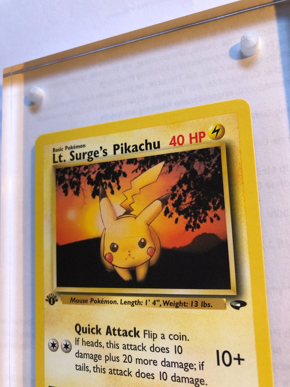 Carte collezionabili: Lt. Surge's Pikachu 1st Gym Challenge - MINT - ab 1.- – Usato da Giubiasco venduto da dan_pr8b 3