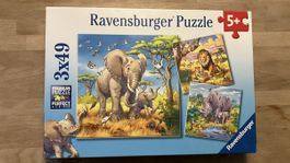 Ravensburger Safari Puzzle 3x49 Teile 5+ Tierwelt