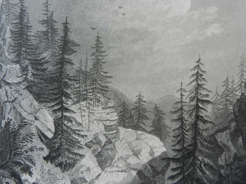 Incisioni: Rofflaschlucht Andeer – Usato da Risch venduto da Rischli15 5