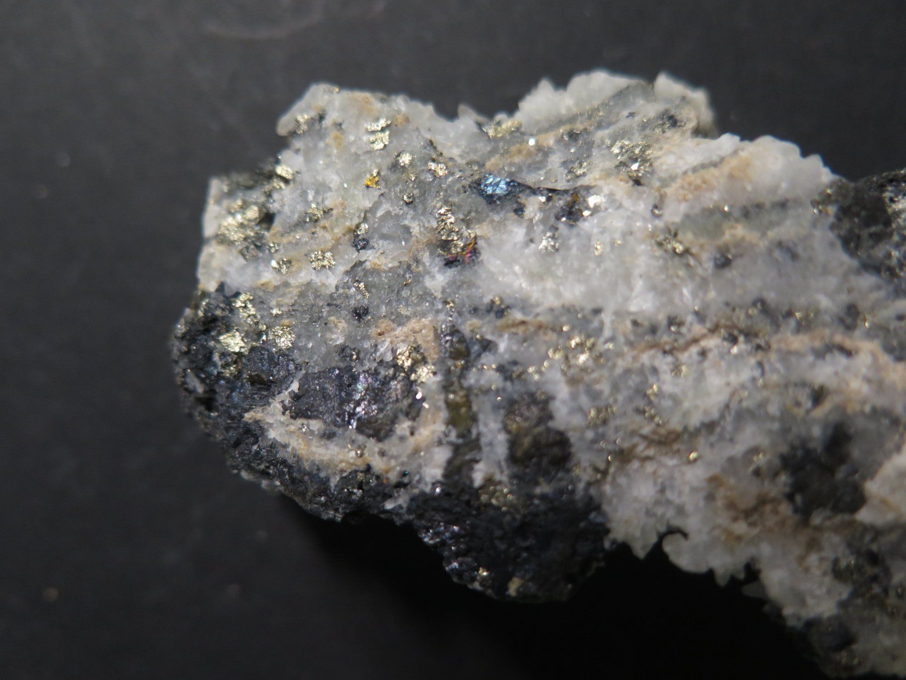 Minerali & Pietre curative: Sphalerit, Pyrit auf Quarz von Rumänien – Usato da Schaffhausen venduto da Yamakana51L8736OQ8 8