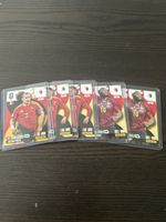 Panini Adrenalyn XL Belgien 9 Stück