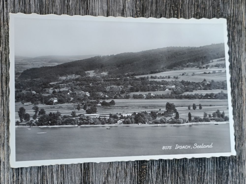 Photo Karte / Ipsach Seeland - ca. 1930 (Gebraucht) in Brugg AG für CHF ...