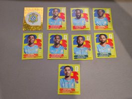 Panini WM 2026 Stickerset DR Kongo - viele Spieler!