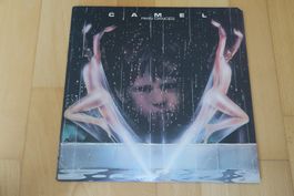 Camel – Rain Dances