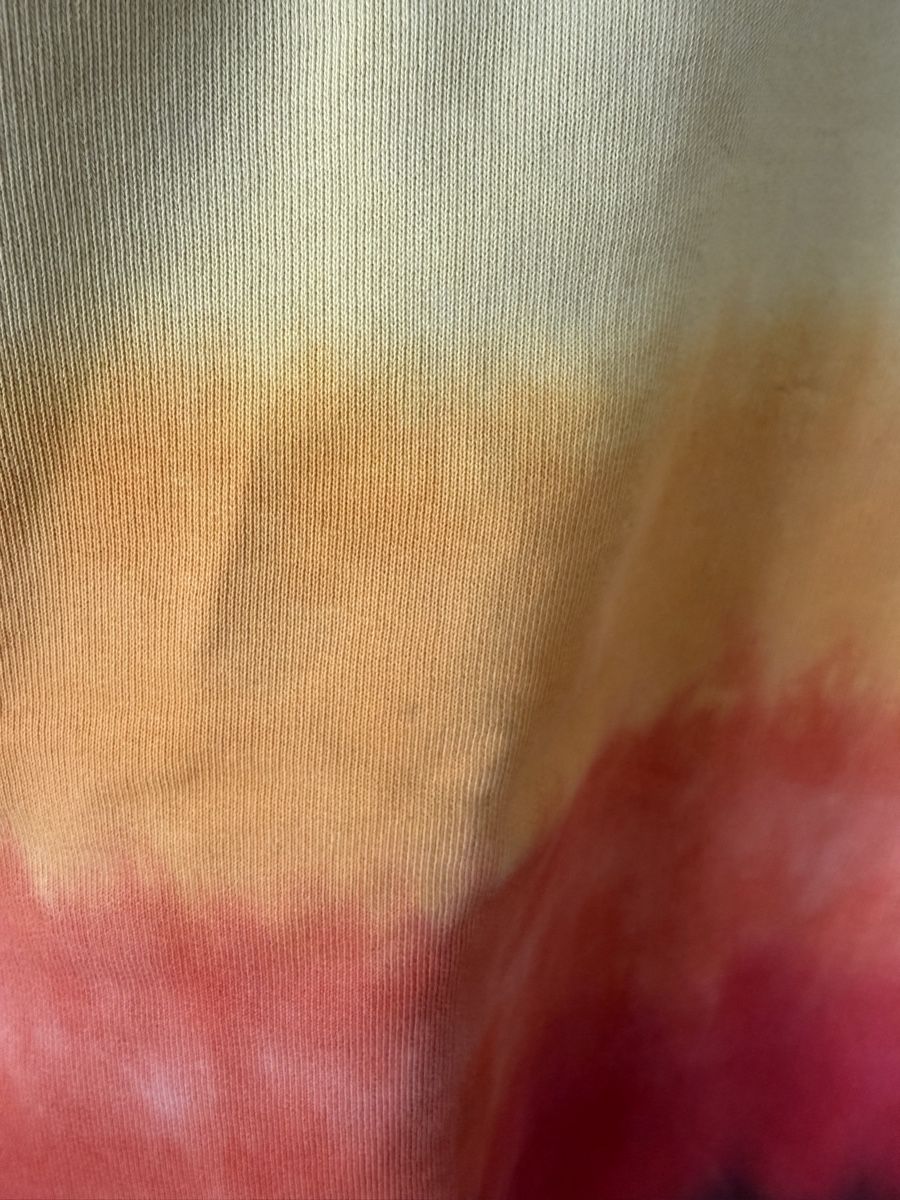 Molo Pulls & Sweat-shirts: Molo Pullover Gr. 152 🌈 – D'occasion à Zürich par rf_fr 4