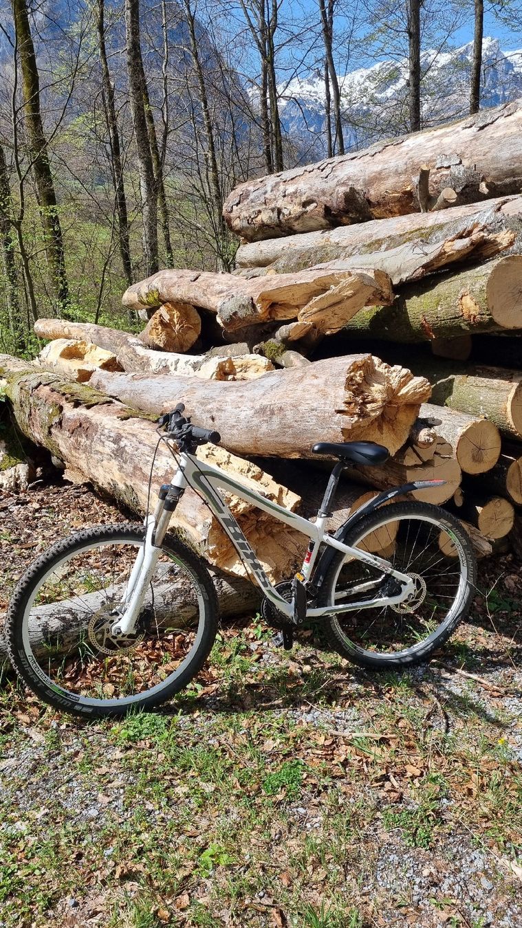 Bixs Velos: Mountainbike – Gebraucht aus Schwanden GL von nadine_gl 3