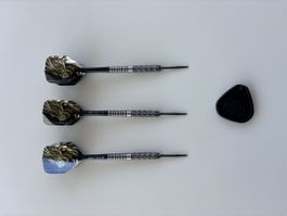 Target Swiss Point Darts (21g)