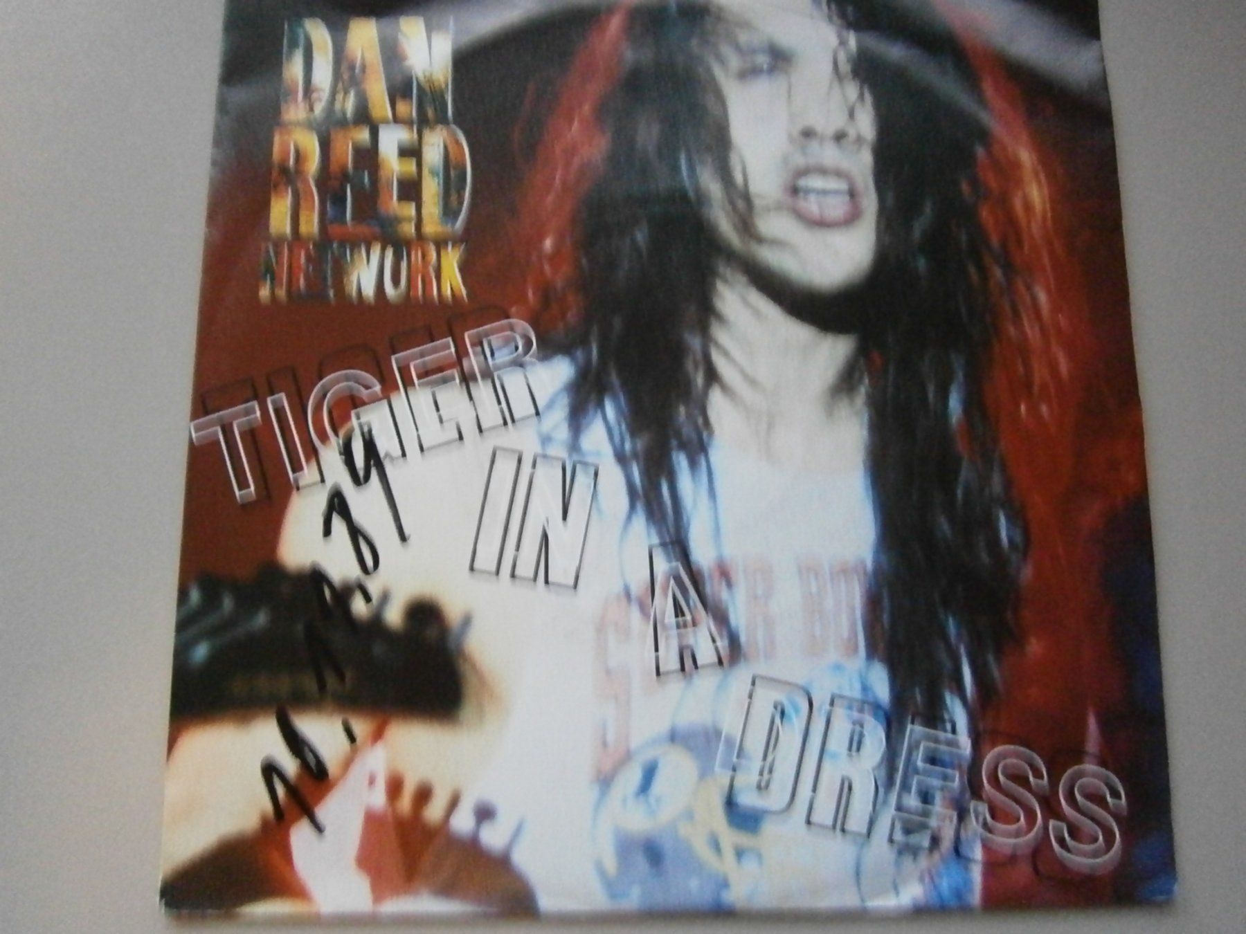 Vinyles: Vinyl-Single Dan Reed Network - Tiger In A Dress – D'occasion à Langenthal par Modo39