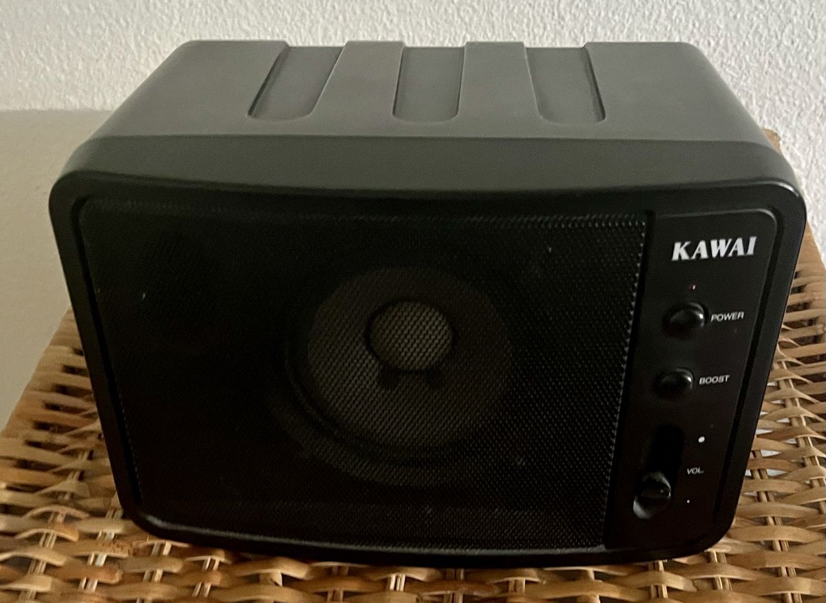 Korg Instruments de musique: KORG SV-1 73  – D'occasion à Zürich par Bertel3 3