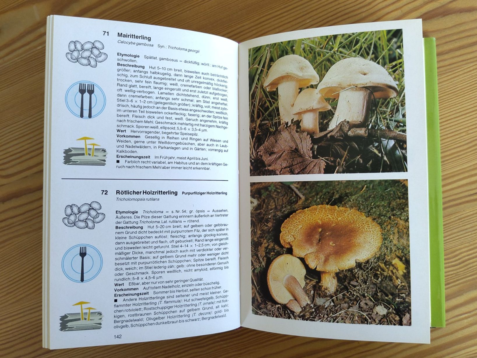 Bücher: Pilzführer "Das grosse Handbuch der Pilze" – Gebraucht aus Möhlin von MeisterHora 6
