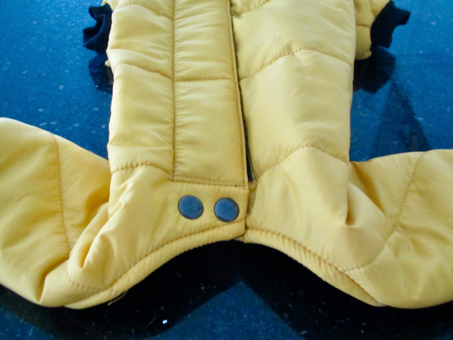 Vêtements: MANTEAU POUR CHIEN NEUF – Neuf (Voir description) à Murten par Selliot 1