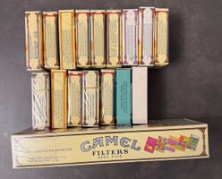 Camel Art Collection / Art Collection