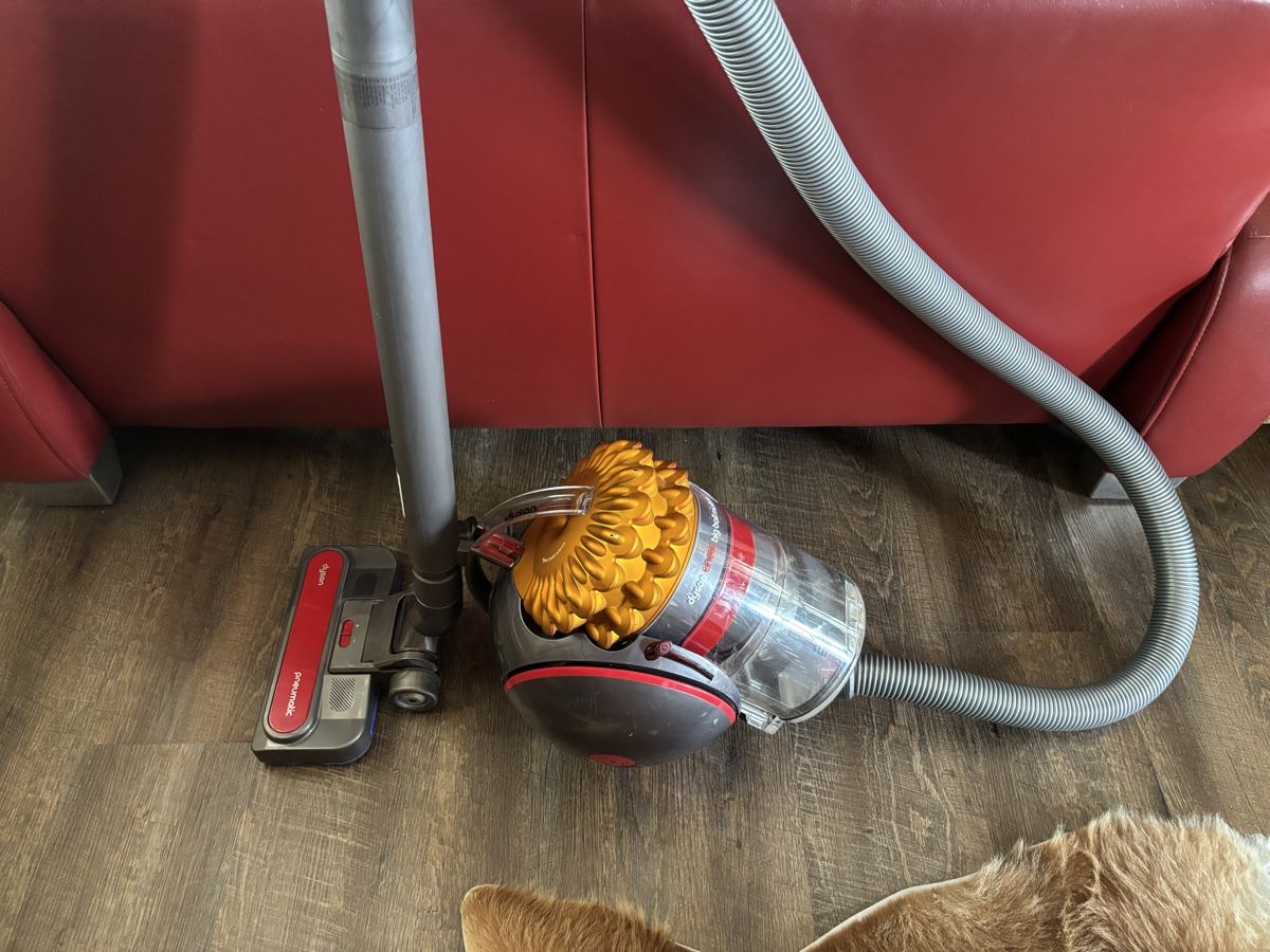 Dyson Aspirapolveri & Accessori: Aspirateur Dyson Bigball – Usato da Mézières VD venduto da P-M-C