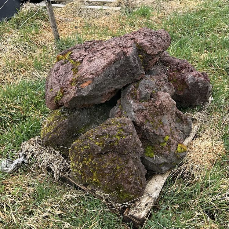 4,5 Kg Schwarze Lavasteine – Natürliches Substrat Für Kakteen, Sukkulenten & Bonsai