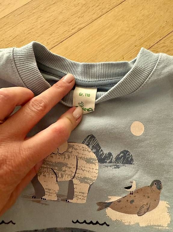 Maglioni & Felpe: Hellblauer Pulli von Alana in Grösse 110 – Nuovo e nell'imballaggio originale da Zürich venduto da tom_m9qb 1