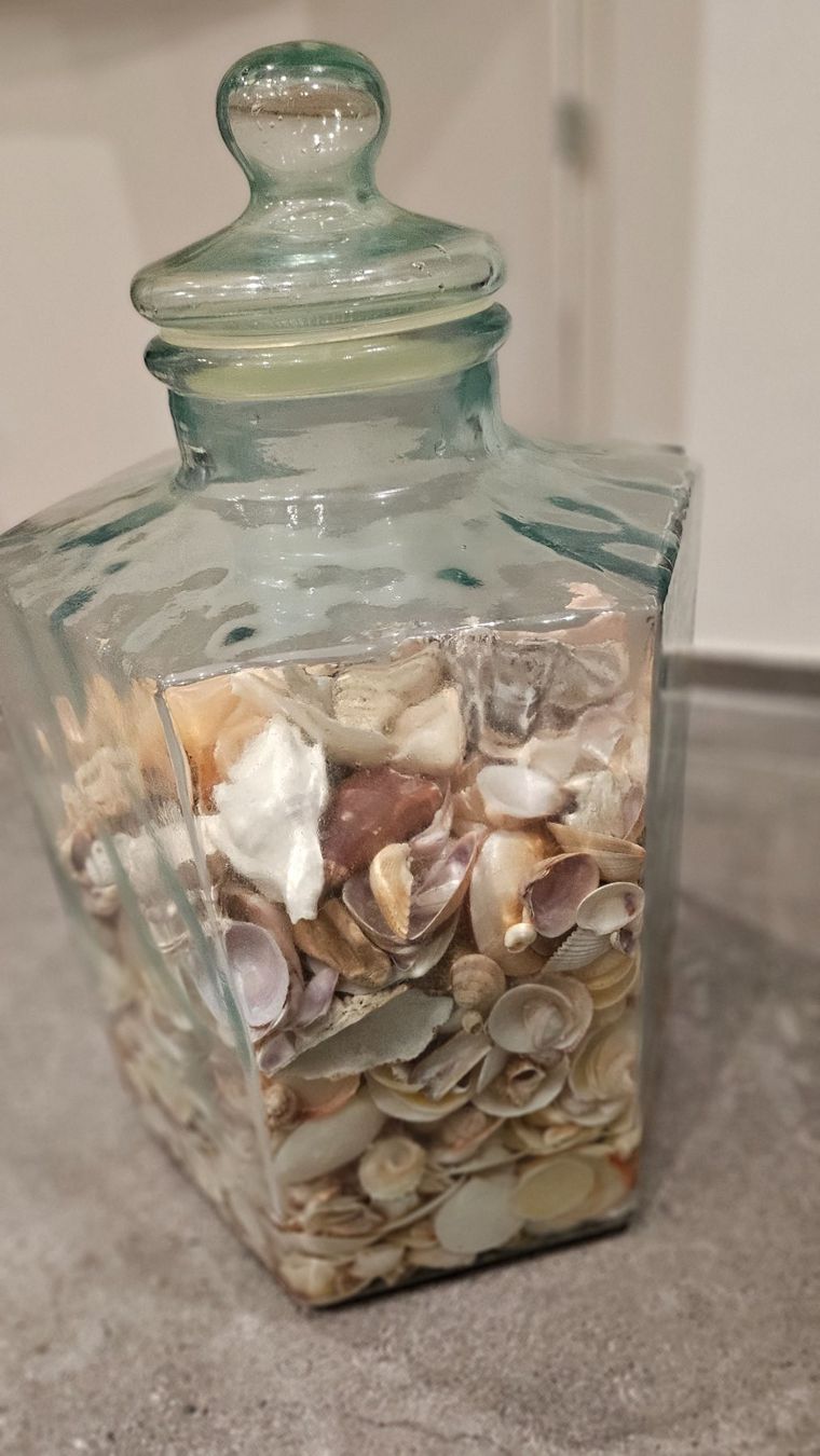 Toutes les décorations: Muschelsammlung – D'occasion à Siglistorf par ester23