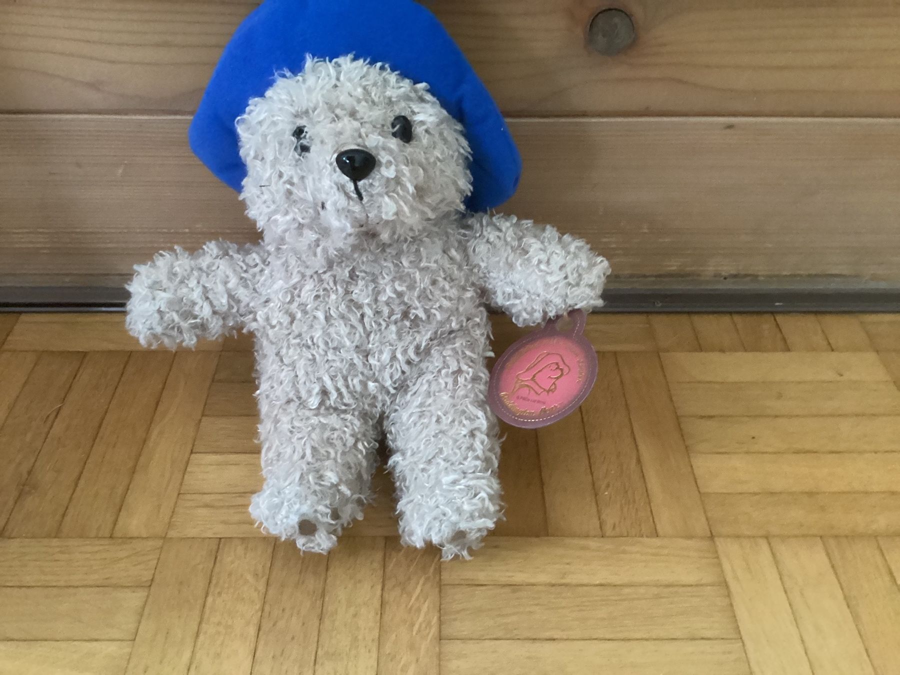 Giocattoli: 2 knuddelige Paddingtons – Nuovo (secondo la descrizione) da Steffisburg venduto da kla_gqp7 3