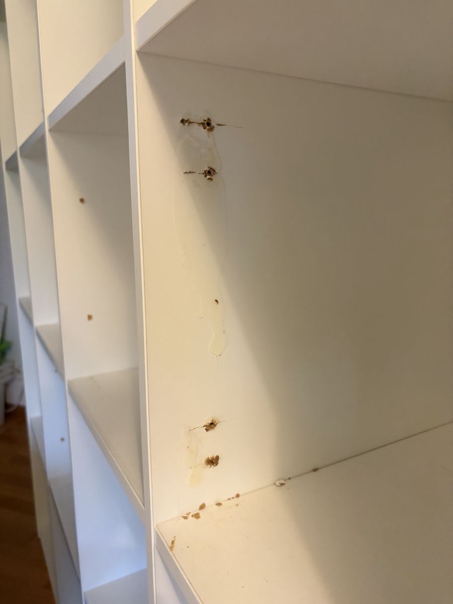 Ikea Regale: IKEA KALLAX 4x4 – Gebraucht aus Pratteln von Ae_6-6_11409 2
