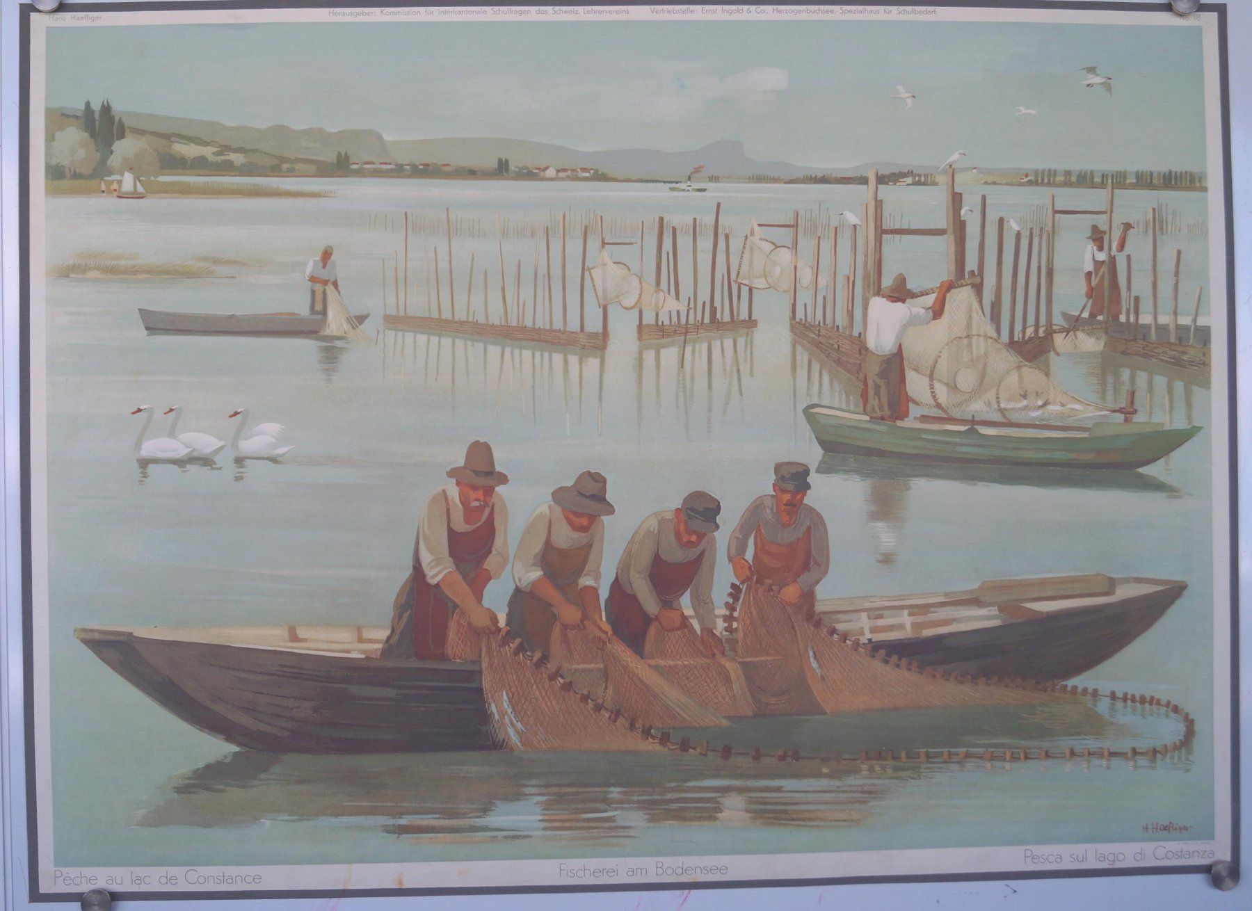 Foto & Immagini: Schulwandbild "Fischerei am Bodensee" (Untersee) @ti – Usato da Härkingen venduto da sammelbecken 2