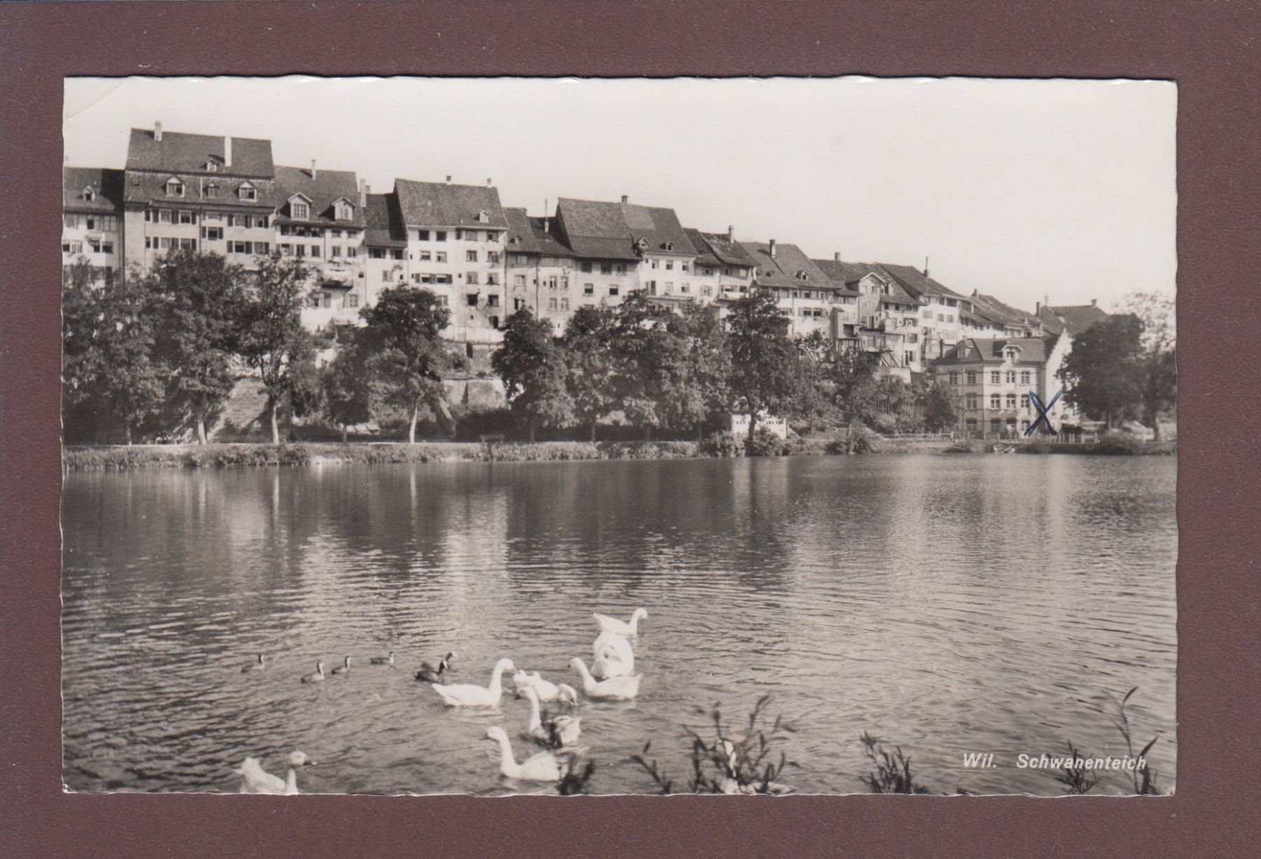Cartoline postali: WIL - Schwanenteich // Eckbug // – Usato da Pully venduto da nicecards