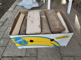 Brennholz Esche und Buche