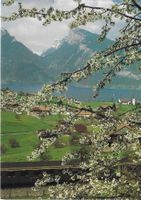 Spiez am Thunersee BE