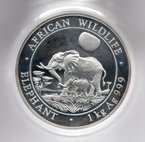 (1181)1 kg Somalien, Elephant 2011, Wildlife in Dose, Silber