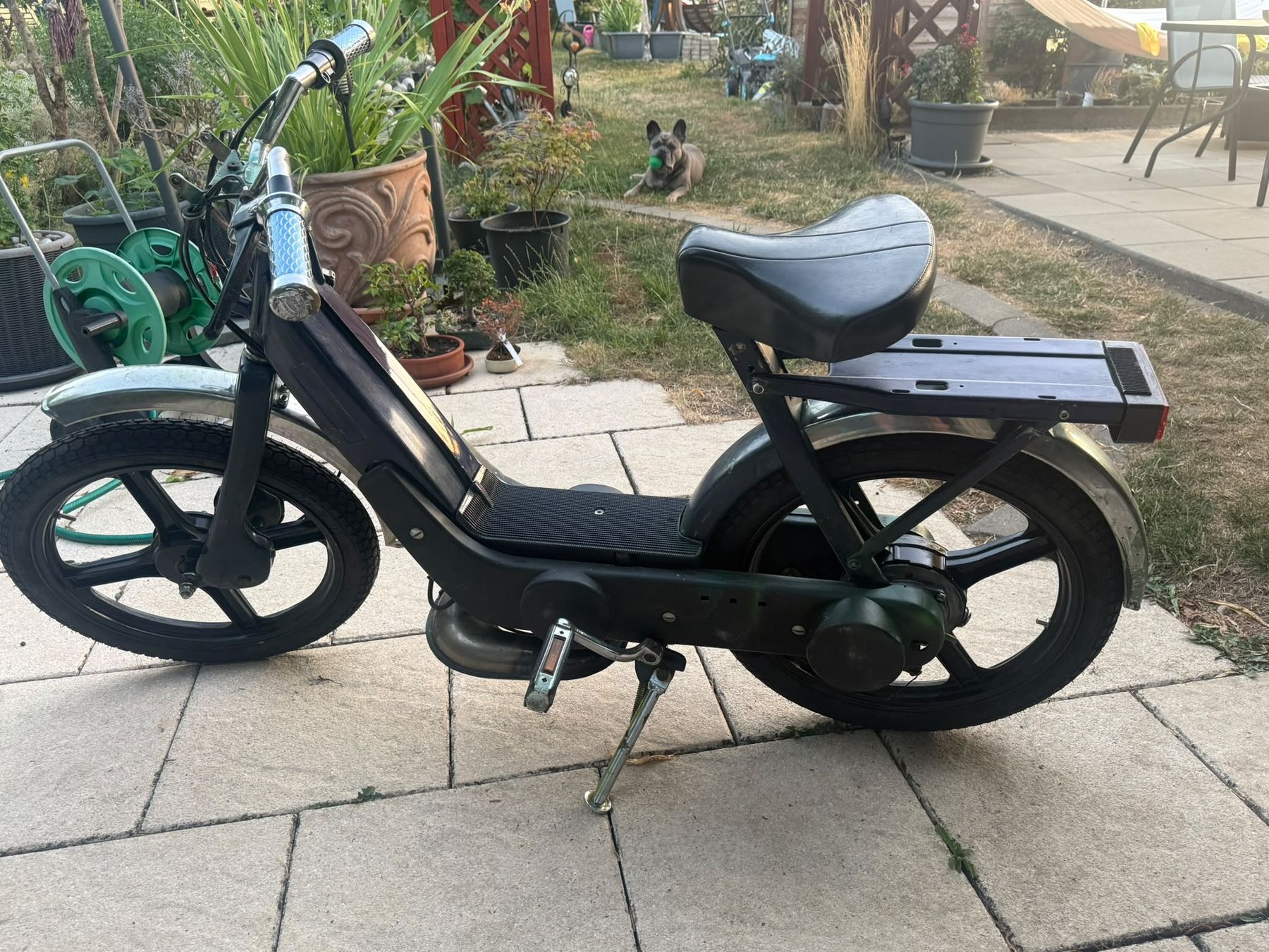 Piaggio Mofas: Piaggio Ciao Mofa – Gebraucht aus Obergerlafingen von rub_bgb8